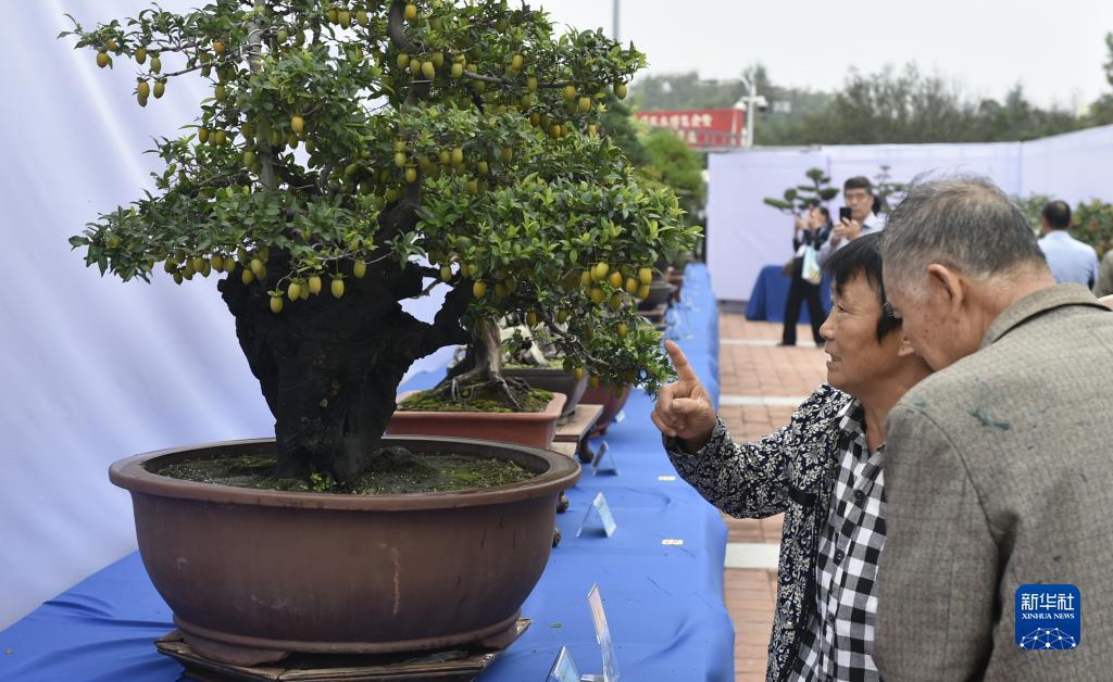 澳门旅游娱乐有限公司