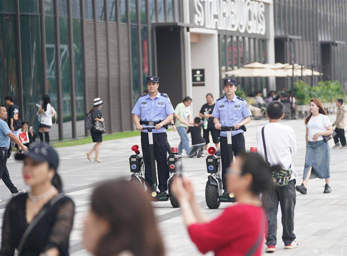 龙珠探宝上下分微信